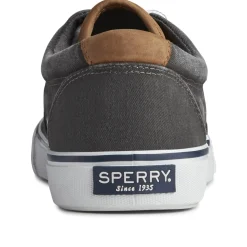 Men's , Striper II CVO Sneaker-Sperry Discount
