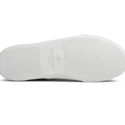 Men's , Striper II CVO Sneaker-Sperry Discount