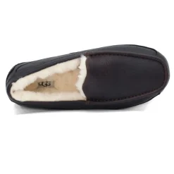 Men's , Ascot Slipper-UGG Hot